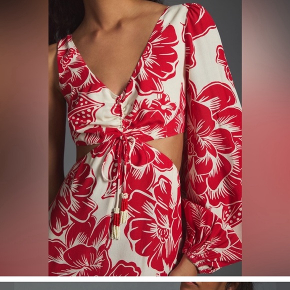 Raro farm rio dress - Picture 3 of 5